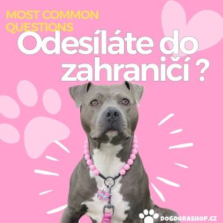 Neváhejte nám poslat zprávu s dalšími dotazy nebo pokud potřebujete pomoci s rozhodováním! #KorálkovýObojek...