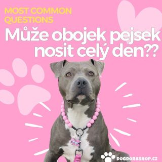 Korálky v našich obojcích DOGDORA jsou navlečené na kvalitní ocelový drát o nosnosti 100 kg. Můžete nám proto věřit, že...