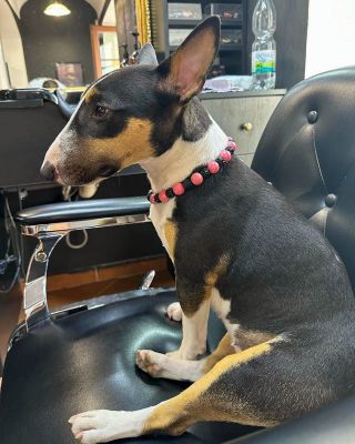 Jen růžová to může být! 💕 WOOW tak takhle kombinace barev je za nás dokonalá ! Barvy vydrží pestré a zářivé i při častém...